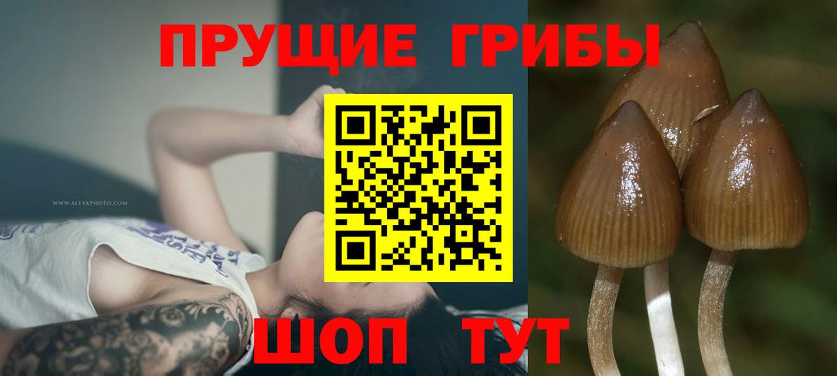 Уварово  Псилоцибиновые грибы ЛСД  где купить   Вход с VPN 